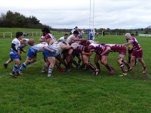 Supporting image for story: Newport keen to get pack back together