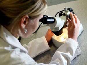 Supporting image for story: Cluster will give health tech sector single voice