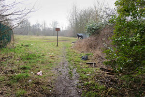 Land next to Bilston primary school