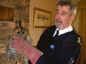 Supporting image for story: Unwise owl rescued after becoming trapped in chimney flue for two days