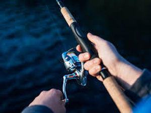 Supporting image for story: Sales and profits rise for Angling Direct