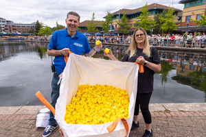 The ducks all ready for the Black Country Duck Race at The Waterfront, Brierley Hill
