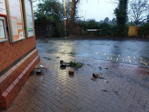 Supporting image for story: Stourbridge Junction planter targeted by vandals to the dismay of staff – and George the cat