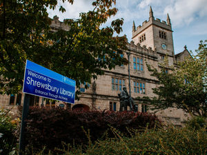 Supporting image for story: Use online library services, public urged