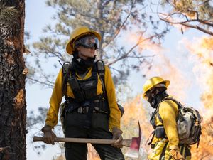 Supporting image for story