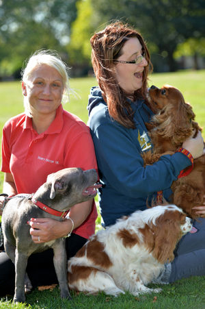 Beck Riese and Bella with Helen Jones with Lucy and Charlie on her lap ahead of the dog olympics.