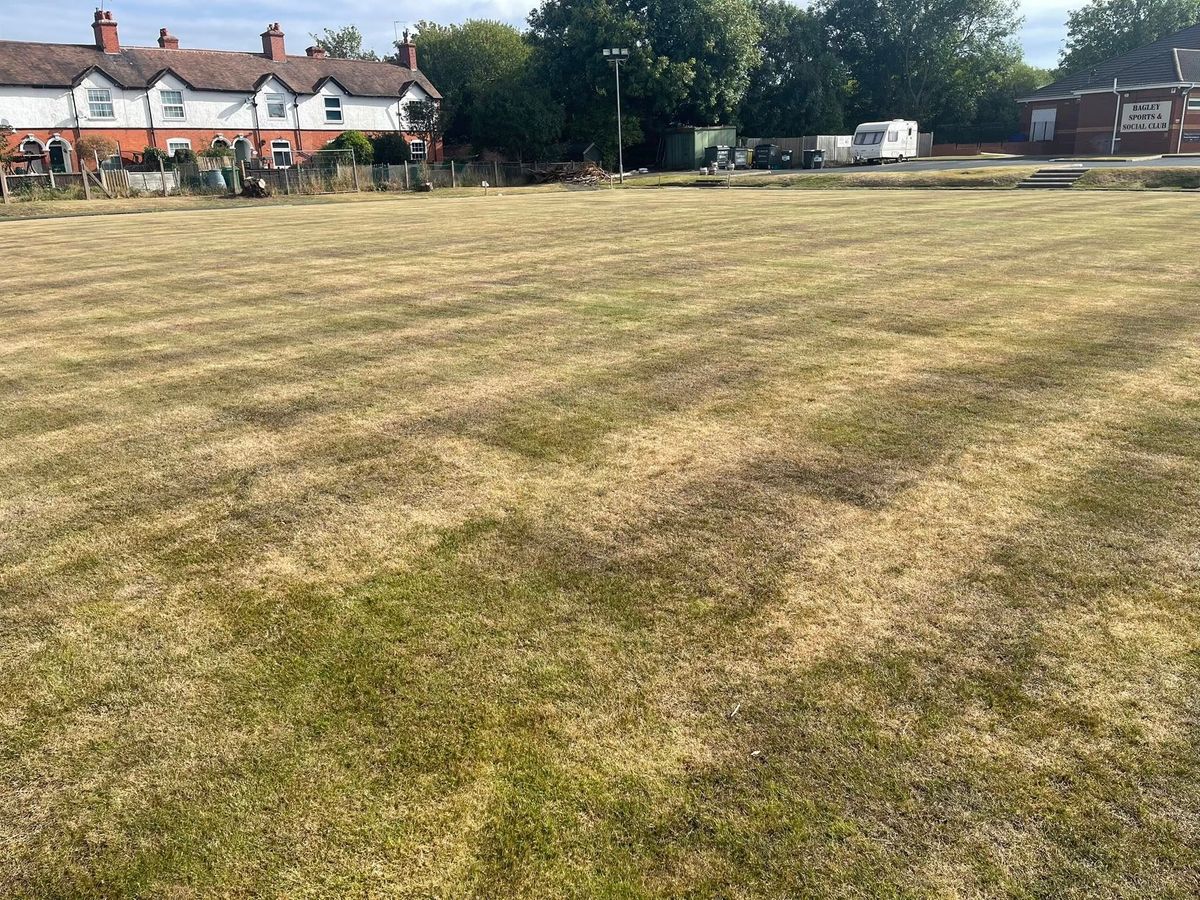 Bowls round-up: Shrewsbury green is bucking the trend
