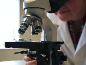 Supporting image for story: Patients with solid tumours ‘will mount good immune response against Covid-19’