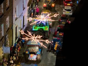 Supporting image for story: Powys town's Christmas lights display to be 'significantly different' next year, council warns