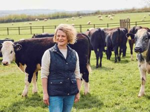 Supporting image for story: Lidl GB set to invest £1.5bn in British beef production  