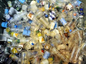 Supporting image for story: Council agrees on plastic free pledge plans