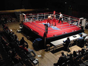 Supporting image for story: New boy Hillox a model pro