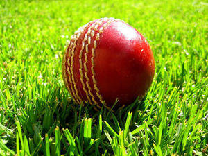 Supporting image for story: Walsall cricketers hold their nerve for key win