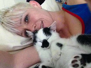 Supporting image for story: Shropshire cat owner calls for warning stickers after kitten killed by lily poisoning