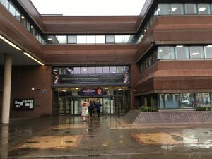 Supporting image for story: Council blames "administrative error" for Brexit tweet gaffe