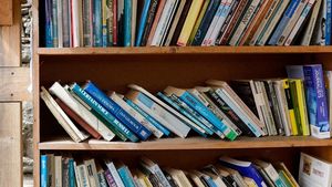 Supporting image for story