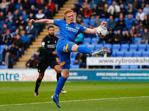Supporting image for story: Matt Taylor pleased with Shrewsbury Town defensive solidity