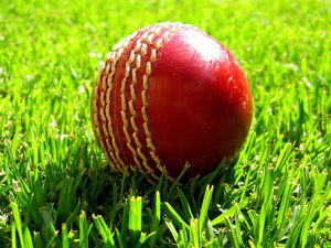 Supporting image for story: Late wickets leave Shropshire CCC in peril