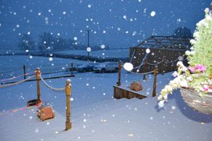 Snow at Tyn Y Fron, Wern, Weston Rhyn. Photo: Roy Atwell