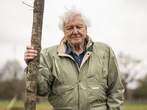 Supporting image for story: Sky announces House Of Kardashian and David Attenborough documentaries