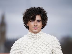 Supporting image for story: Timothee Chalamet was told he did not have ‘right body’ for blockbuster roles