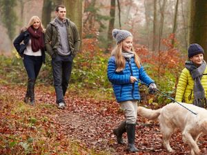 Supporting image for story: Dog owners urged to let pets mingle to help their mental health