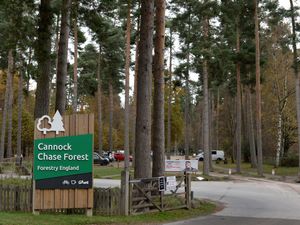 Cannock Chase Forest is an area of natural beauty and a place full of sites and sounds