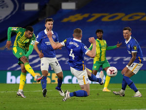 Supporting image for story: Brighton 1 West Brom 1 - Report and pictures