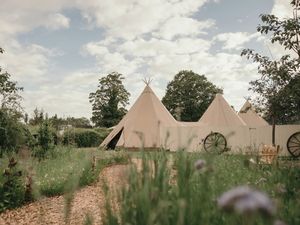 Supporting image for story: Shropshire venue is proving a big hit for couple's tying the knot
