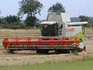 Supporting image for story: Harvest delivers bumber wheat crop