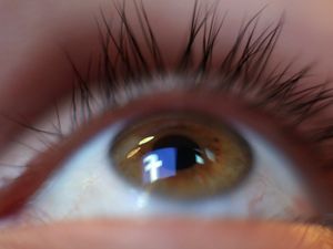 Supporting image for story: Facebook lifts the lid on more data amid pressure for greater transparency