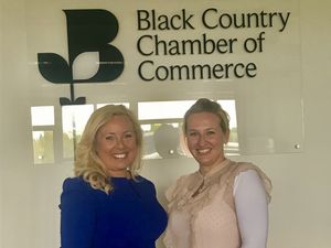 Supporting image for story: New chairman for Woman in Business