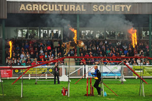 Rockwood Dog Display Team at Staffordshire County Show