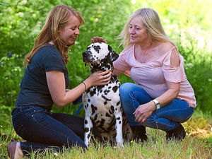 Supporting image for story: Police alert after dog walkers spot bomb on Shropshire border