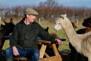 John Franklin-Hackett with his alpacas.