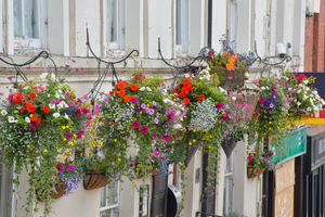 Town centre baskets. Picture: Graham Mitchell