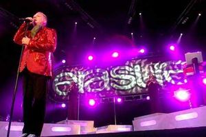 Supporting image for story: Concert review - Erasure at Cannock Chase
