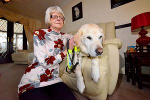 Elizabeth Smith, who was robbed while in the vets, with her guide dog Halley