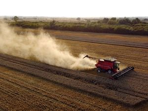 Supporting image for story: UK harvest on course for near record low after drought hits crops – analysis