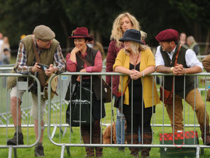 Supporting image for story: Country life celebrated at Midland Game Fair - video and pictures