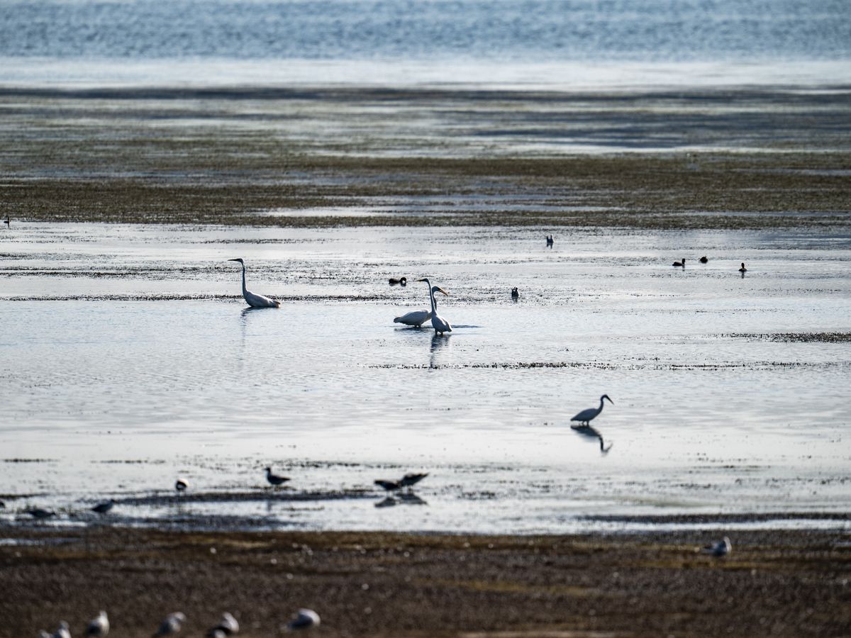 Bank Holiday temperatures to rise to near 30C before rain arrives