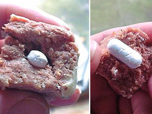 Supporting image for story: Tablet hidden in corned beef and thrown into garden to 'poison' pet dog