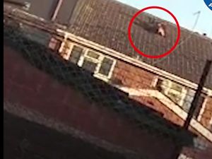 Supporting image for story: Man throws safe containing £27,000 out of window as cops raid house