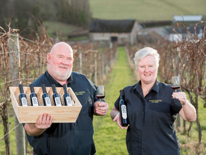 Supporting image for story: First fortified wine in Wales launched
