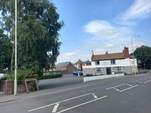 Supporting image for story: Wellington pub denied permission to remove tree 