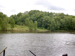 Supporting image for story: Two rescued after getting into difficulties in pool in Telford heat
