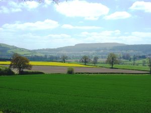 Supporting image for story: Productive South Shropshire agricultural land on market