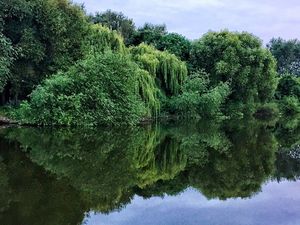 Supporting image for story: Can YOU see it? 'Viking god’ hidden in this Shrewsbury scene 