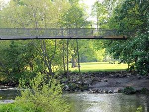 Supporting image for story: Take a walk on the wild side