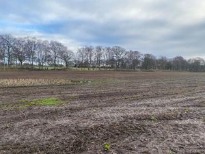 Arable land near Market Drayton. Picture: Rightmove and Barbers Rural Consultancy LLP.